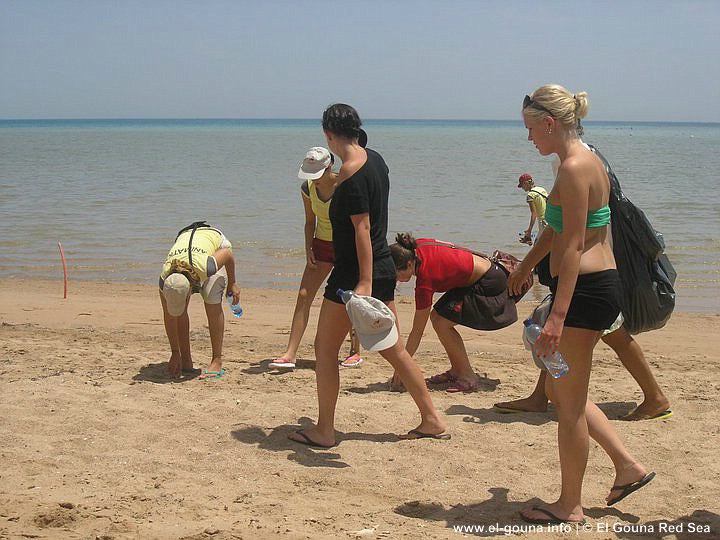 Green Gouna Day Beach 097